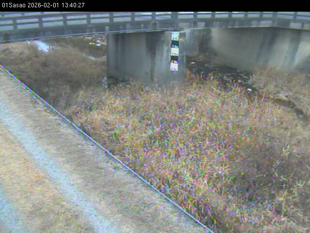 最新監視カメラ画像