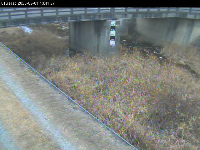 最新監視カメラ画像