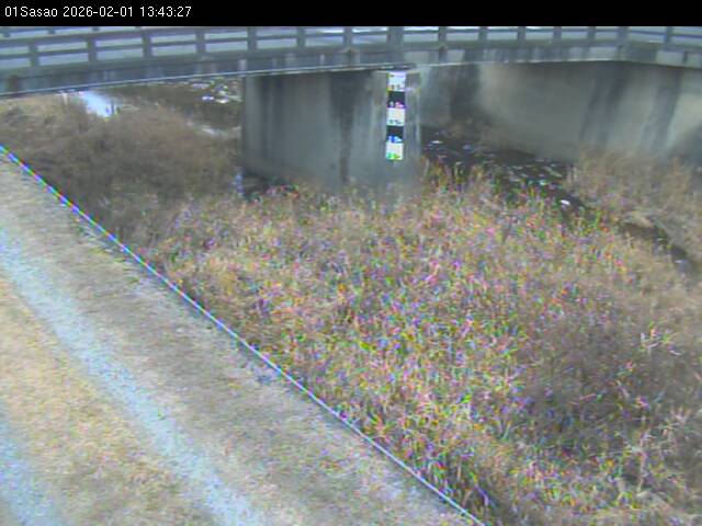 最新監視カメラ画像