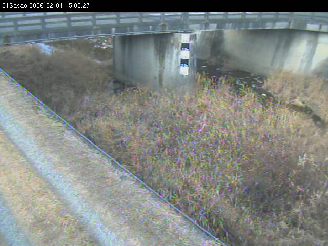 最新監視カメラ画像