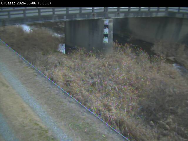 最新監視カメラ画像