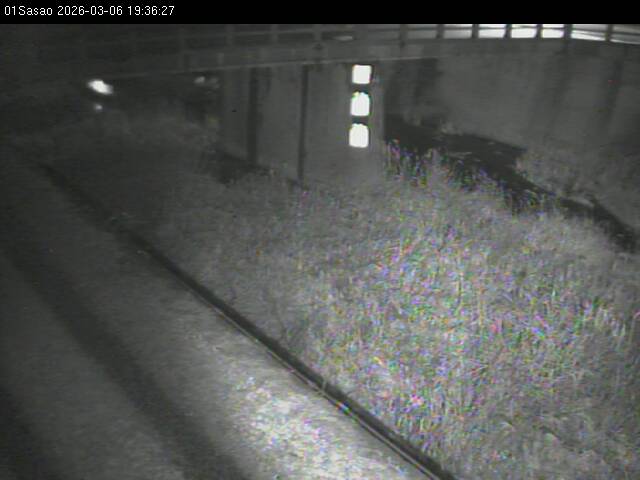 最新監視カメラ画像