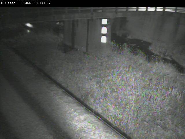 最新監視カメラ画像