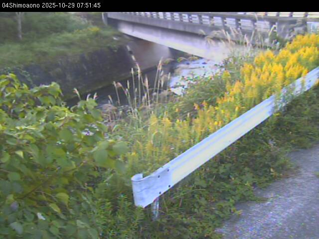 最新監視カメラ画像