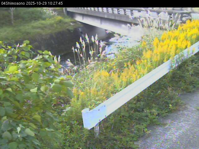 最新監視カメラ画像