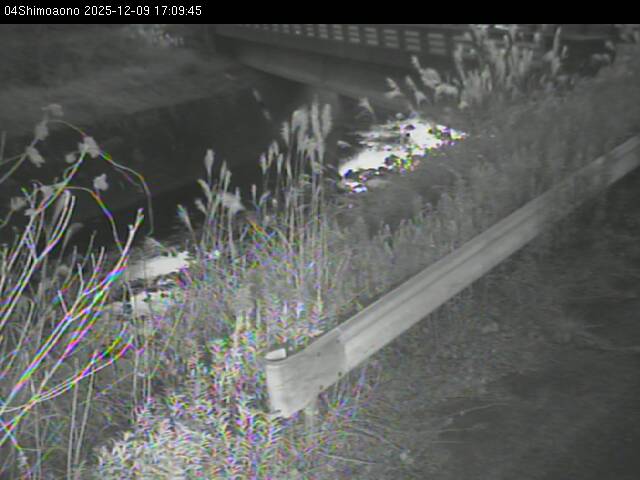 最新監視カメラ画像