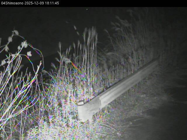 最新監視カメラ画像