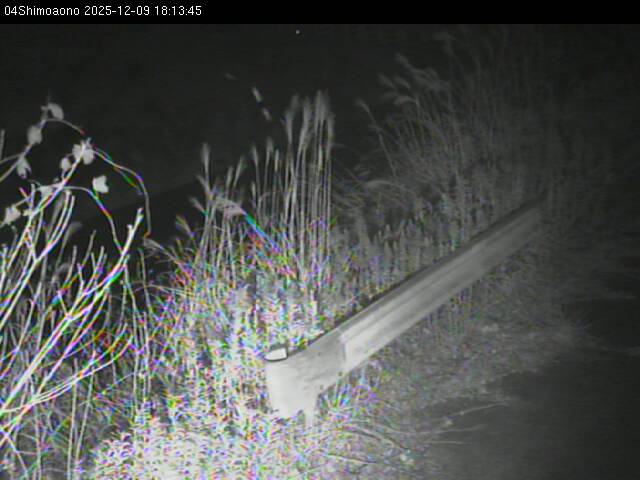 最新監視カメラ画像