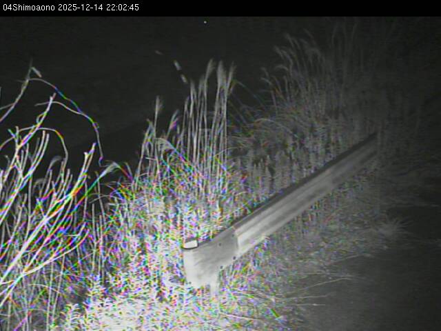 最新監視カメラ画像