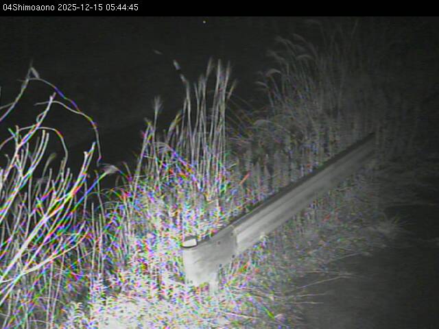 最新監視カメラ画像