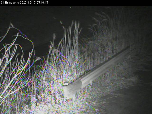 最新監視カメラ画像