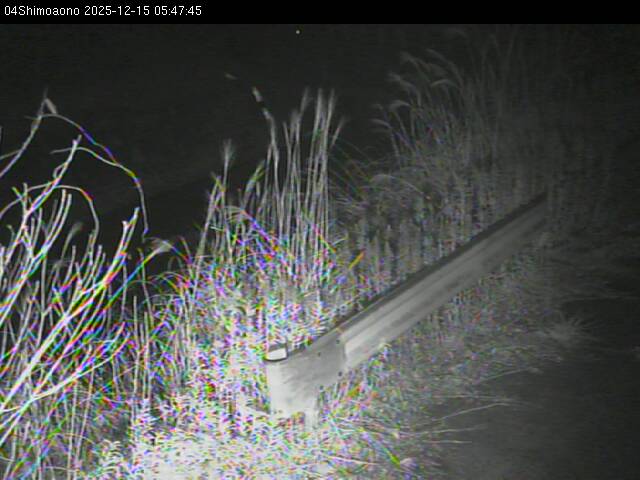 最新監視カメラ画像