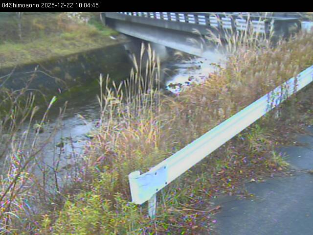 最新監視カメラ画像