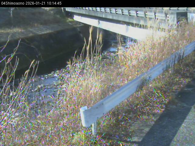 最新監視カメラ画像