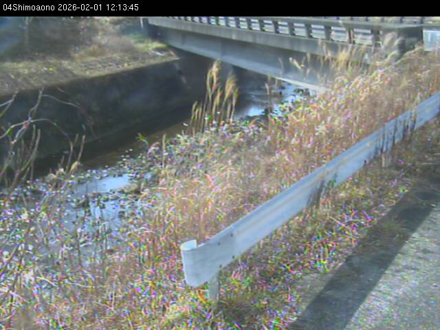 最新監視カメラ画像