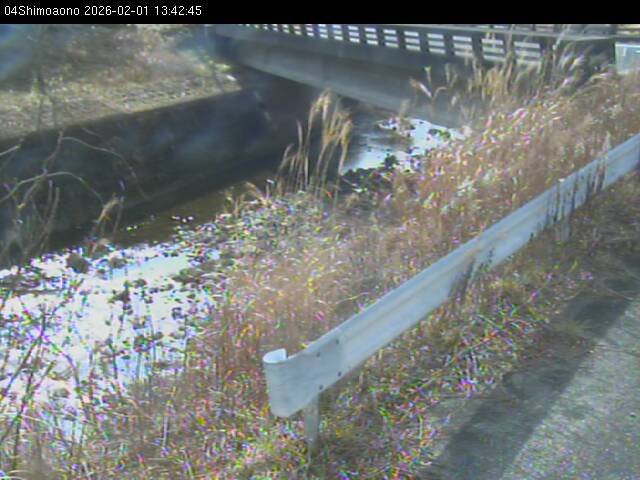 最新監視カメラ画像