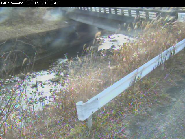 最新監視カメラ画像