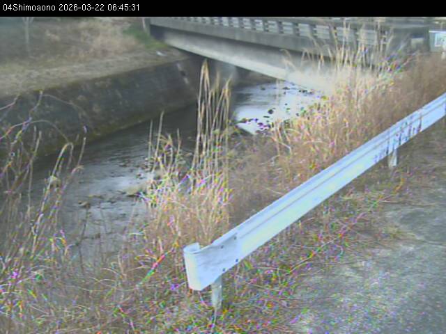 最新監視カメラ画像