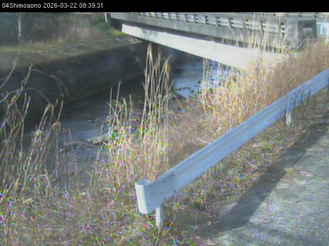 最新監視カメラ画像