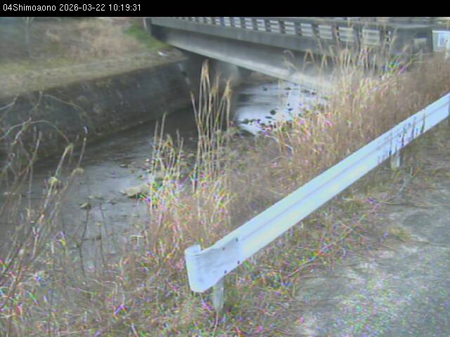 最新監視カメラ画像