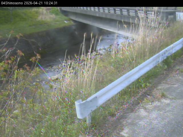 最新監視カメラ画像