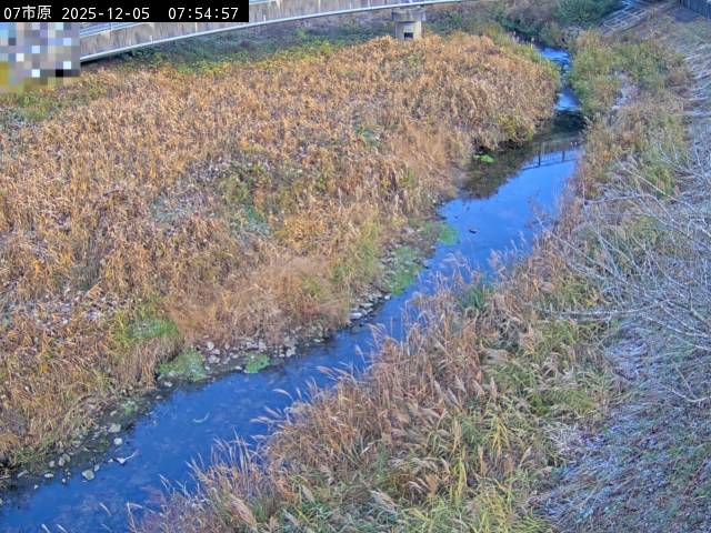 最新監視カメラ画像