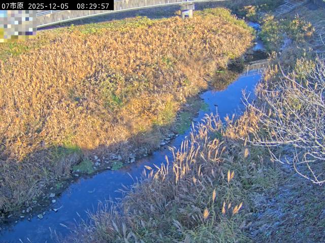 最新監視カメラ画像