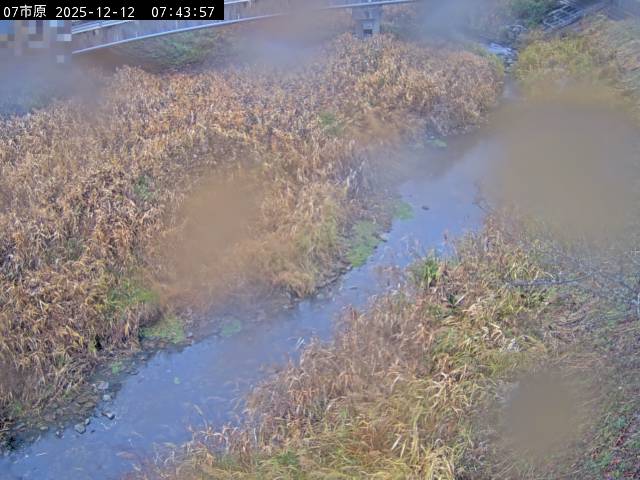 最新監視カメラ画像