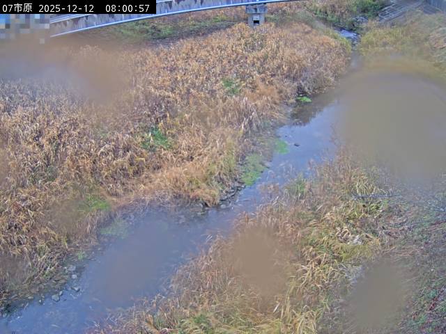 最新監視カメラ画像