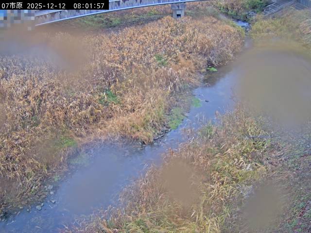 最新監視カメラ画像