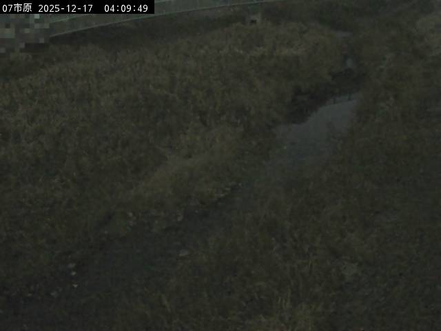 最新監視カメラ画像