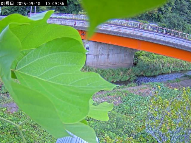最新監視カメラ画像
