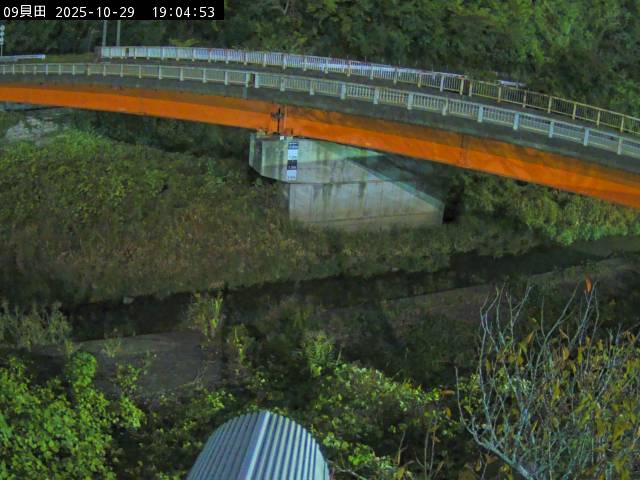 最新監視カメラ画像