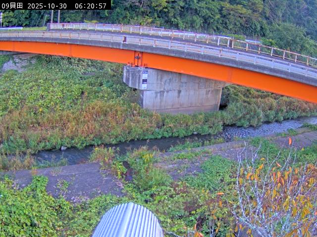 最新監視カメラ画像