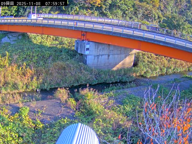 最新監視カメラ画像