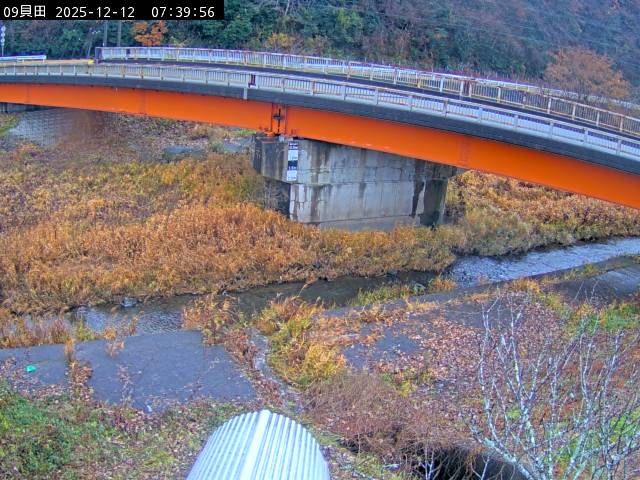 最新監視カメラ画像