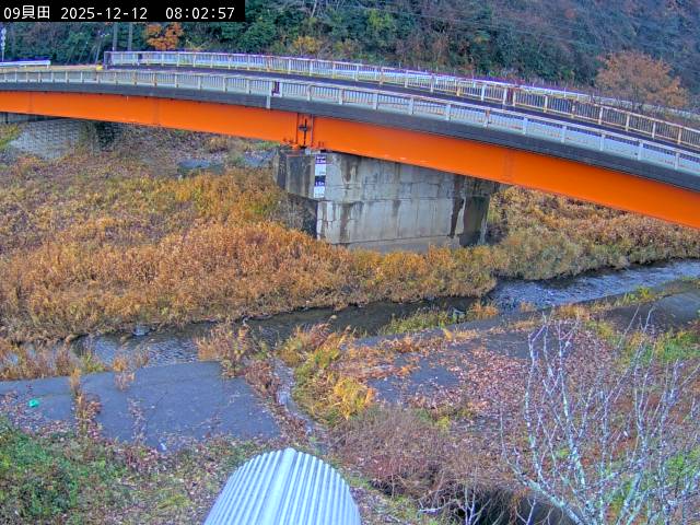 最新監視カメラ画像