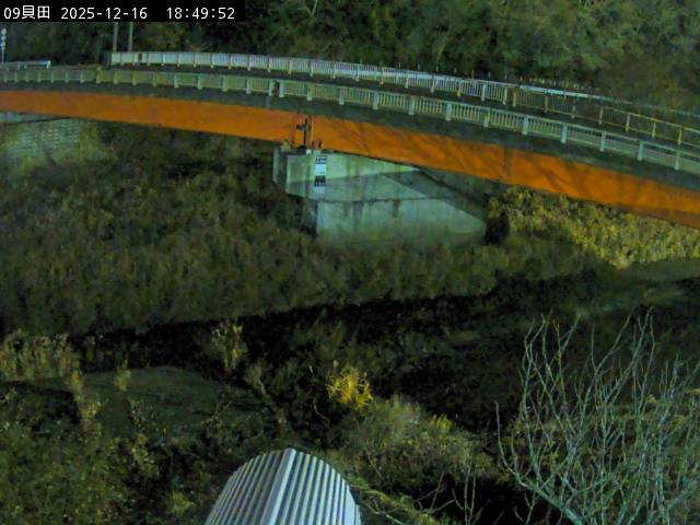 最新監視カメラ画像