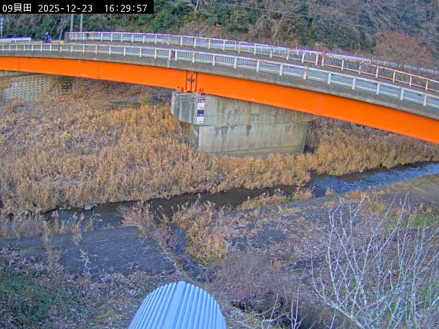 最新監視カメラ画像