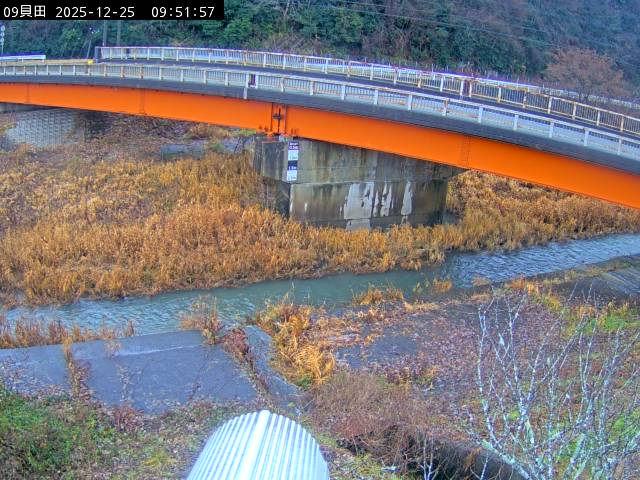 最新監視カメラ画像