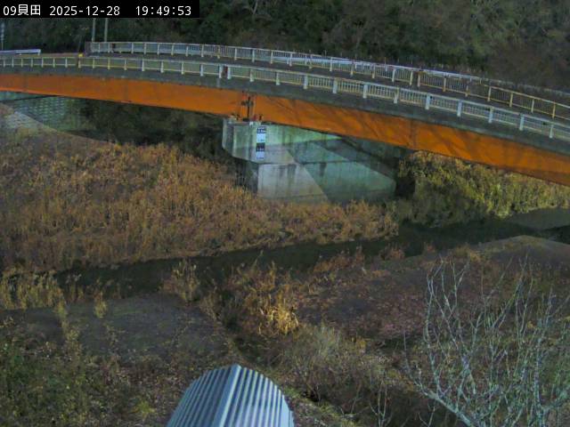 最新監視カメラ画像