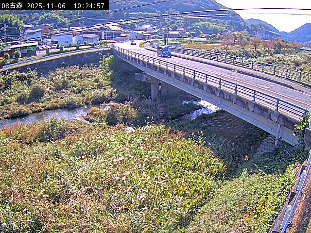 最新監視カメラ画像