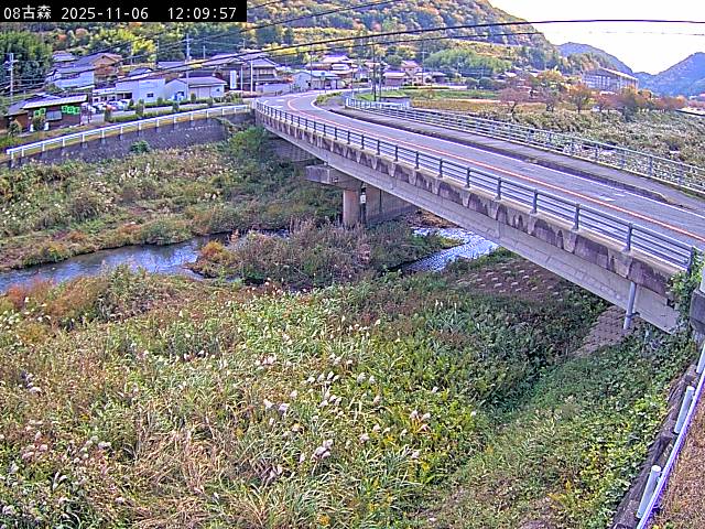 最新監視カメラ画像