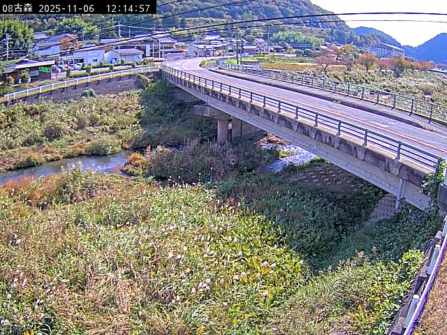 最新監視カメラ画像