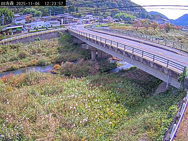 最新監視カメラ画像