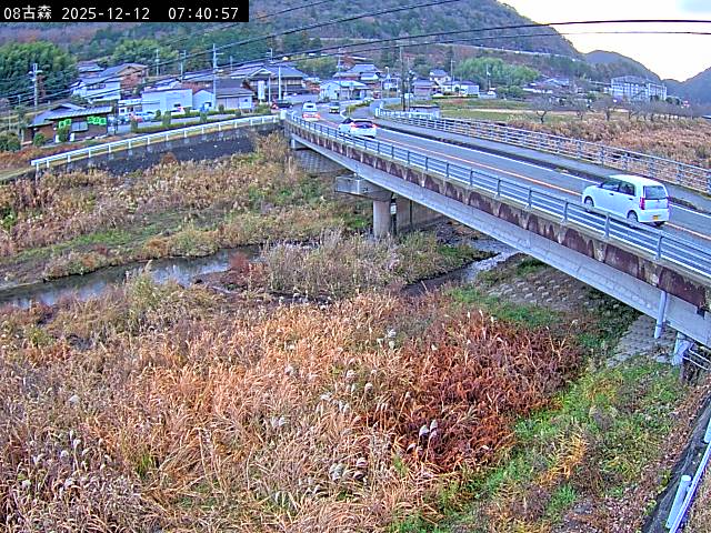 最新監視カメラ画像