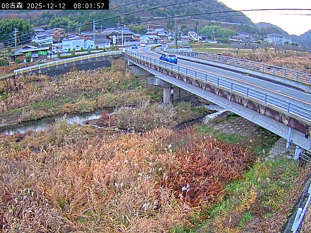 最新監視カメラ画像