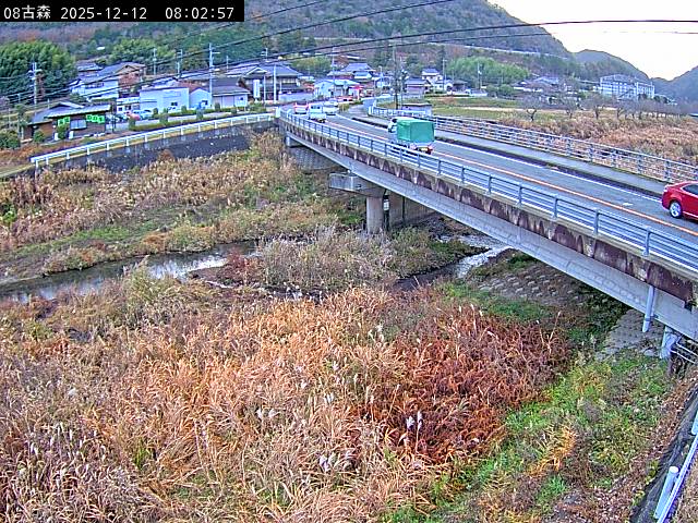 最新監視カメラ画像