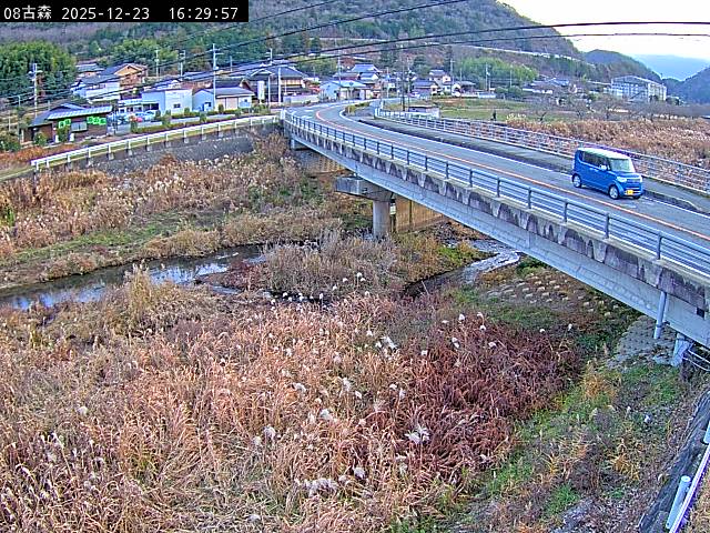 最新監視カメラ画像