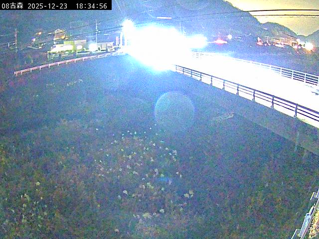 最新監視カメラ画像